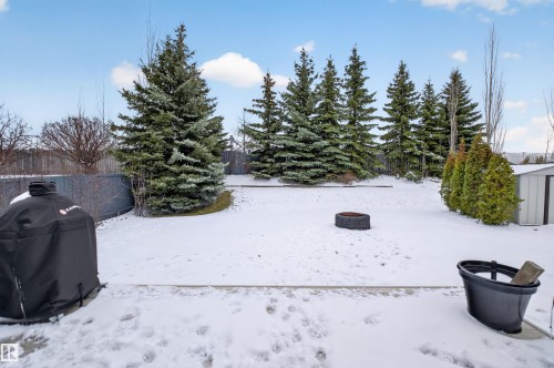 874 Ryan Place, Edmonton, AB - Outdoor