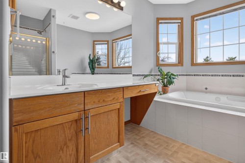 874 Ryan Place, Edmonton, AB - Indoor Photo Showing Bathroom