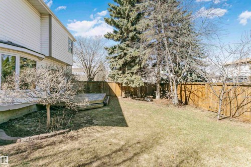 Expansive grassy backyard featuring a wood deck, wood privacy fencing, and mature trees - 17820 57 Avenue, Edmonton, AB - Outdoor