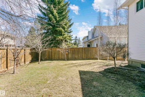 Expansive fenced backyard featuring a grassy lawn, mature evergreen trees, several deciduous trees, and a wooden privacy fence - 17820 57 Avenue, Edmonton, AB - Outdoor