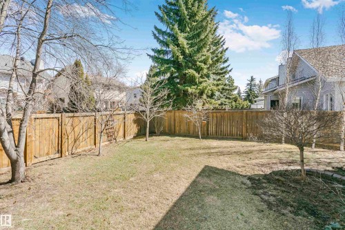 Expansive lawn area enclosed by a privacy fence, featuring mature evergreen and deciduous trees, with a distant residential structure visible - 17820 57 Avenue, Edmonton, AB - Outdoor
