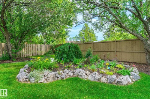 Landscaped garden bed featuring a rock border, mature trees providing canopy, lush green lawn, and a privacy fence - 10339 36A Avenue, Edmonton, AB - Outdoor