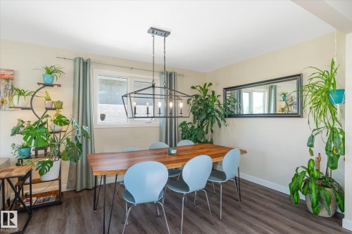 Dining area featuring wood-finish flooring, light-toned walls, and a contemporary linear chandelier - 10339 36A Avenue, Edmonton, AB - Indoor Photo Showing Dining Room