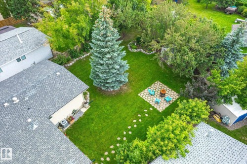 Expansive green lawn with mature trees and a stone-stepped pathway - 10339 36A Avenue, Edmonton, AB - Outdoor