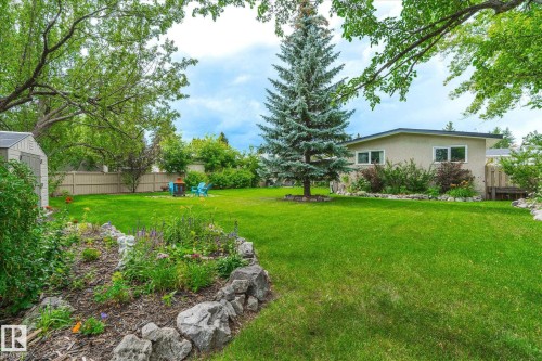 Expansive rear yard featuring a large manicured lawn, established landscaping with rock borders, and mature trees - 10339 36A Avenue, Edmonton, AB - Outdoor With Backyard