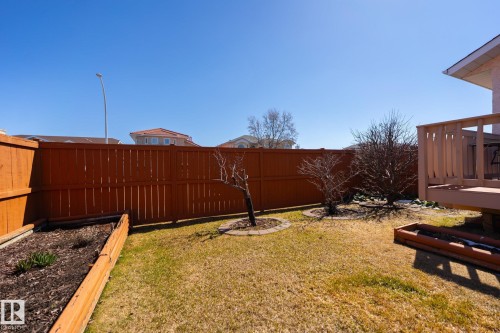 Expansive backyard featuring a stained wood fence, a raised garden bed, and a wooden deck - 5736 161 Avenue, Edmonton, AB - Outdoor