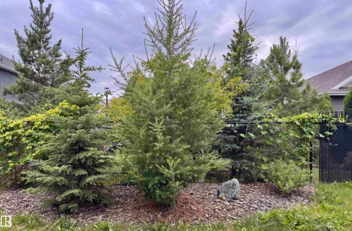 3381 Chickadee Drive, Edmonton, AB - Outdoor
