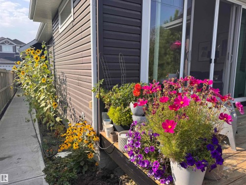 3381 Chickadee Drive, Edmonton, AB - Outdoor
