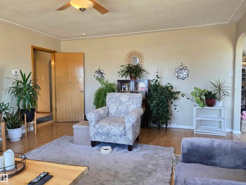 13220 132 Street, Edmonton, AB - Indoor Photo Showing Living Room