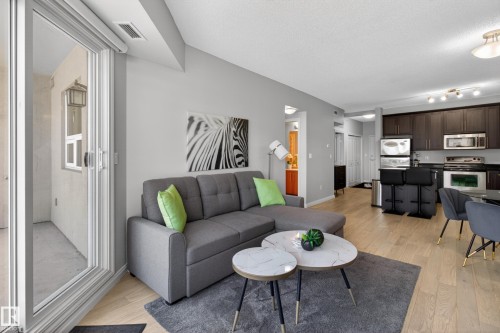 202 9819 104 Street, Edmonton, AB - Indoor Photo Showing Living Room
