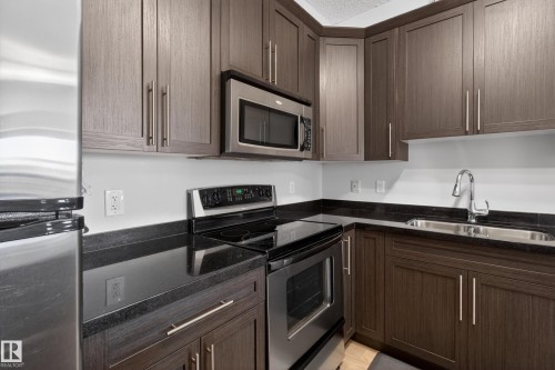 202 9819 104 Street, Edmonton, AB - Indoor Photo Showing Kitchen With Double Sink