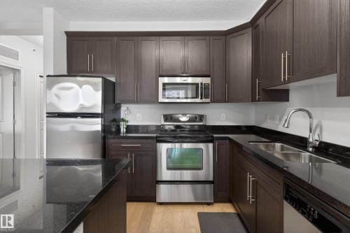 202 9819 104 Street, Edmonton, AB - Indoor Photo Showing Kitchen With Double Sink