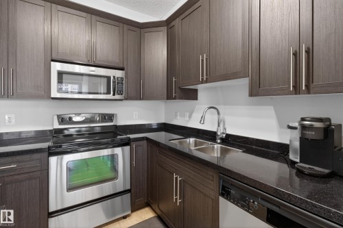 202 9819 104 Street, Edmonton, AB - Indoor Photo Showing Kitchen With Double Sink