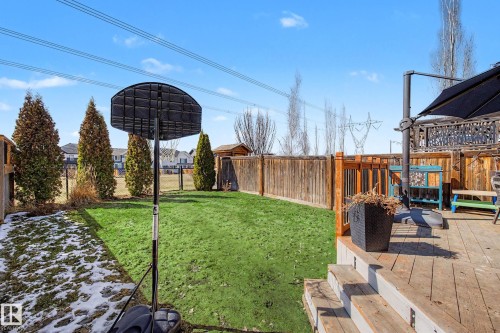 Expansive backyard featuring a wood deck with steps, a manicured lawn, and mature privacy trees - 2083 Chalmers Way, Edmonton, AB - Outdoor