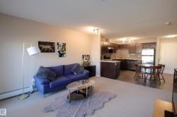 Open-concept living space with light neutral wall paint and a light-colored carpeted floor - 