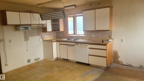 9921 162 Street, Edmonton, AB - Indoor Photo Showing Kitchen With Double Sink