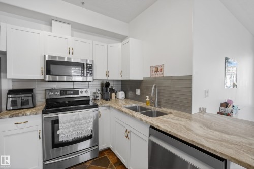 205 10011 110 Street, Edmonton, AB - Indoor Photo Showing Kitchen With Stainless Steel Kitchen With Double Sink