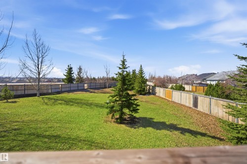Expansive backyard featuring a manicured lawn, perimeter wood fencing, mature evergreen trees, and additional landscaping - 19 15151 43 Street, Edmonton, AB - Outdoor