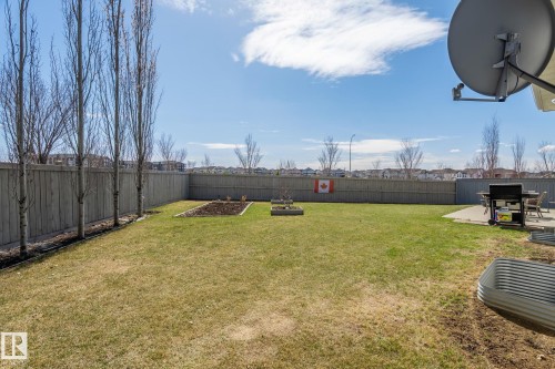 Spacious backyard featuring a manicured lawn, a full wooden privacy fence, mature trees, and a concrete patio - 731 57 Street Sw, Edmonton, AB - Outdoor With Backyard