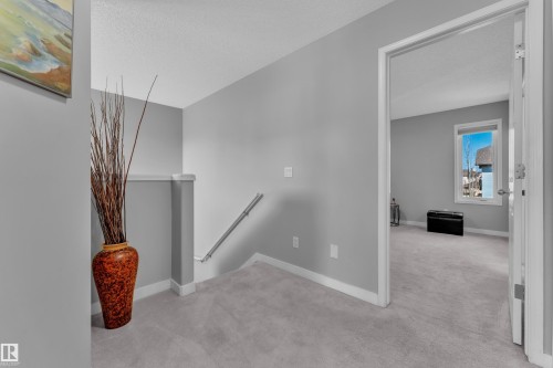 1309 Mcallister Way, Edmonton, AB - Indoor Photo Showing Other Room