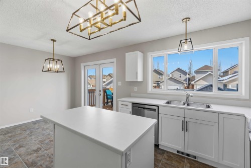 2003 71 Street, Edmonton, AB - Indoor Photo Showing Kitchen With Double Sink