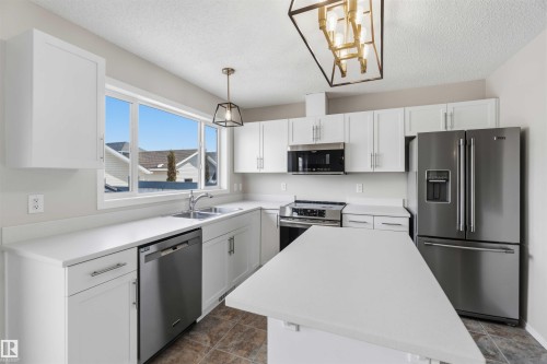 2003 71 Street, Edmonton, AB - Indoor Photo Showing Kitchen With Double Sink