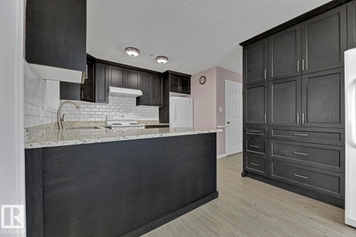 4911 106 Street, Edmonton, AB - Indoor Photo Showing Kitchen