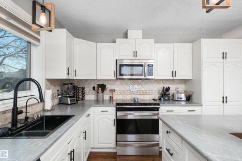 17828 91 Street, Edmonton, AB - Indoor Photo Showing Kitchen With Double Sink With Upgraded Kitchen