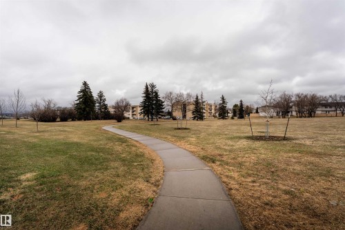 Curved concrete pathway traversing a green space with scattered trees and distant multi-story buildings - 15 5203 149 Avenue, Edmonton, AB - Outdoor With View
