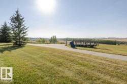 Expansive green space featuring mature evergreen trees, a paved pathway, and a wooden observation deck - 