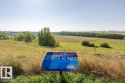 Expansive open land featuring diverse vegetation, mature tree lines, and a vast sky - 