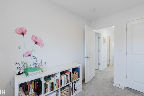 Soft gray carpeting throughout - 5237 Edgemont Boulevard, Edmonton, AB - Indoor Photo Showing Other Room