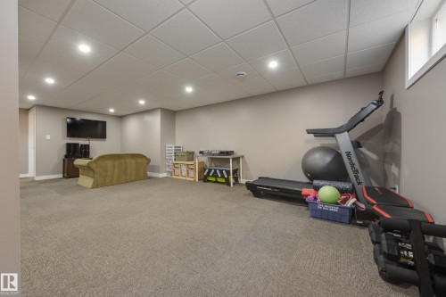 15972 110B Avenue, Edmonton, AB - Indoor Photo Showing Basement