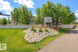 Landscaping featuring a rock garden, green shrubs, and mature trees - 