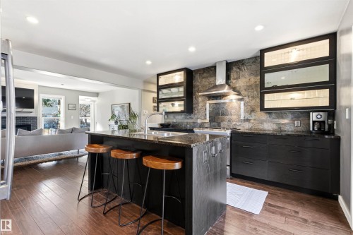 10916 60 Avenue, Edmonton, AB - Indoor Photo Showing Kitchen With Upgraded Kitchen