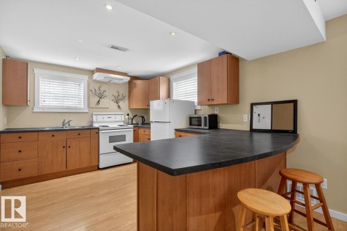 12130 60 Street, Edmonton, AB - Indoor Photo Showing Kitchen With Double Sink