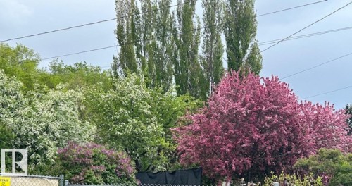 12130 60 Street, Edmonton, AB - Outdoor