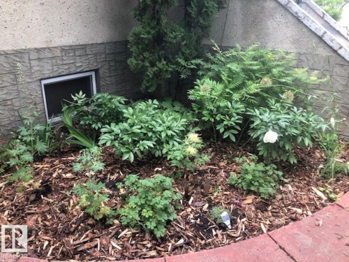 12130 60 Street, Edmonton, AB - Outdoor