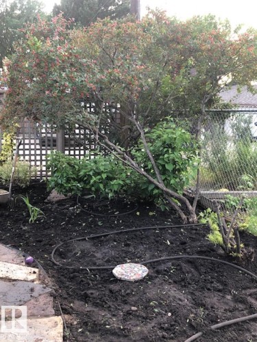 12130 60 Street, Edmonton, AB - Outdoor