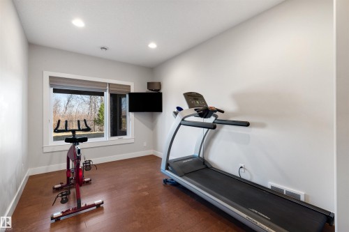 2464 Cameron Ravine Drive, Edmonton, AB - Indoor Photo Showing Gym Room