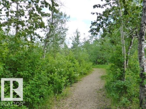 Ravine trails - 1198 Hollands Way, Edmonton, AB - Outdoor