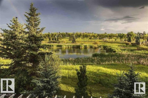 Natural Wetland Reserve - 1198 Hollands Way, Edmonton, AB - Outdoor With View