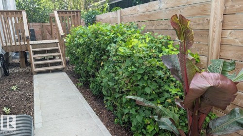 Outdoor deck featuring natural wood construction, steps, and a handrail system - 14812 98 Avenue, Edmonton, AB - Outdoor