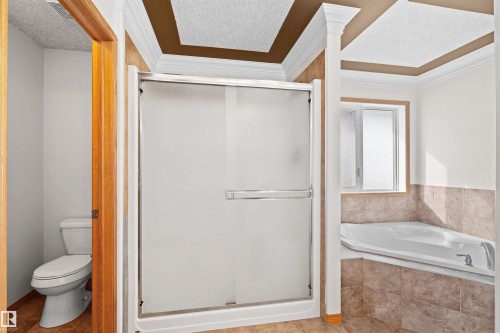 15907 91 Street, Edmonton, AB - Indoor Photo Showing Bathroom