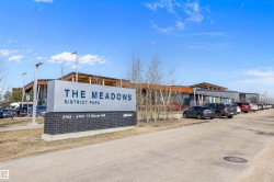 Building signage for "The Meadows District Park" set on a dark brick base, framed by contemporary light posts - 