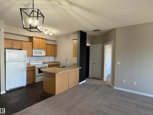 224 16807 100 Avenue, Edmonton, AB - Indoor Photo Showing Kitchen With Double Sink