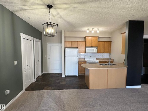 224 16807 100 Avenue, Edmonton, AB - Indoor Photo Showing Kitchen With Double Sink