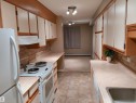 101 9737 112 Street, Edmonton, AB  - Indoor Photo Showing Kitchen 