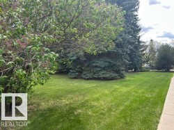 Expansive green lawn framed by mature trees and a blooming shrub, providing a natural setting - 