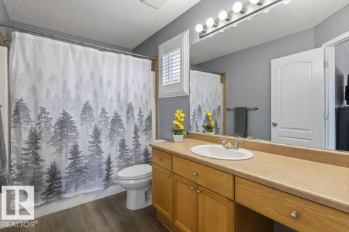 8938 179A Avenue, Edmonton, AB - Indoor Photo Showing Bathroom